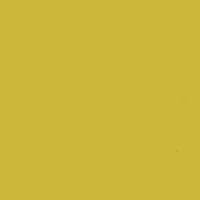 Желтый фон 999/5
